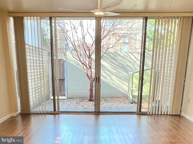 entryway with ceiling fan and wood-type flooring