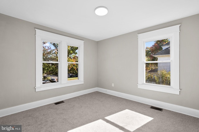 carpeted empty room with a wealth of natural light