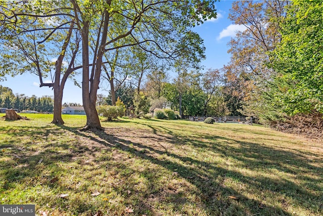 view of yard