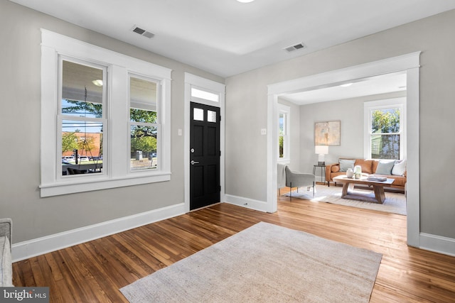 entrance foyer featuring wood-type flooring