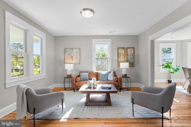 living room featuring light wood-type flooring and plenty of natural light