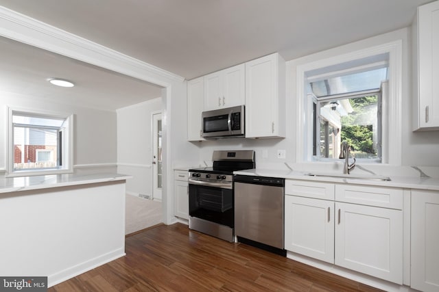 kitchen featuring white cabinets, stainless steel appliances, dark wood-type flooring, and sink