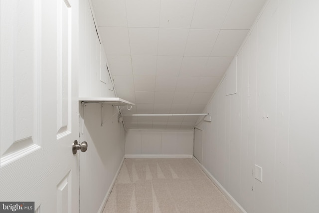 spacious closet featuring light carpet