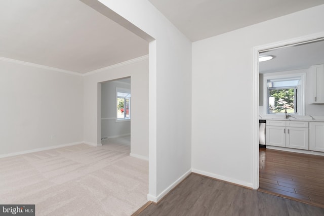 hall with crown molding, sink, and wood-type flooring