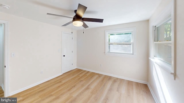 empty room featuring ceiling fan and light wood-type flooring