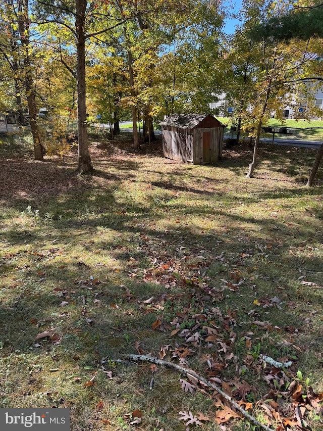 view of yard with a storage unit