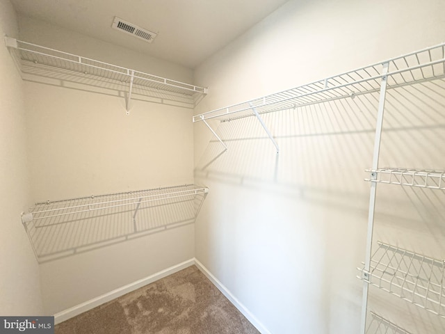 spacious closet with carpet