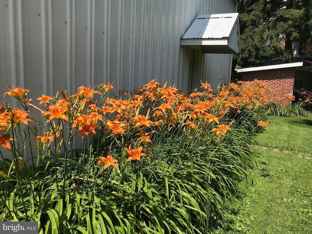 entry to storm shelter with a lawn