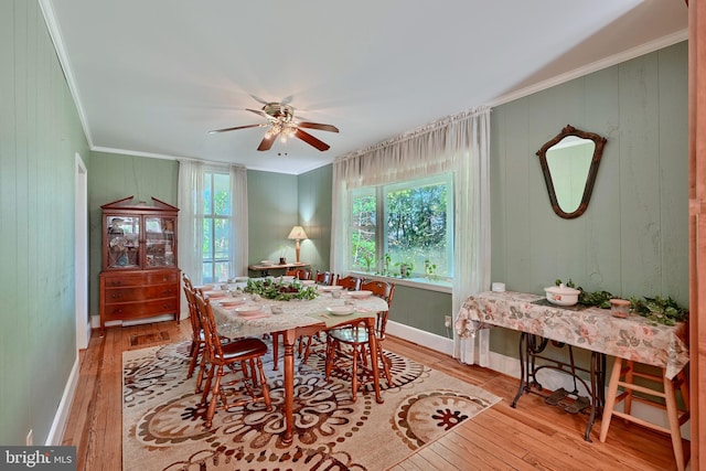 dining room featuring crown molding, light hardwood / wood-style flooring, and ceiling fan