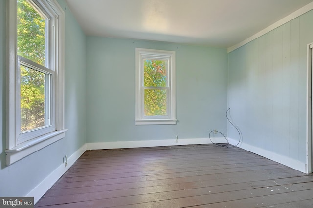 empty room featuring plenty of natural light and dark hardwood / wood-style flooring