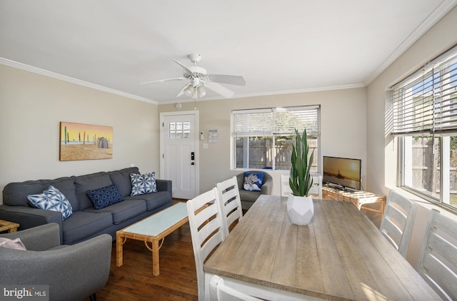 living room featuring dark hardwood / wood-style floors, crown molding, and ceiling fan