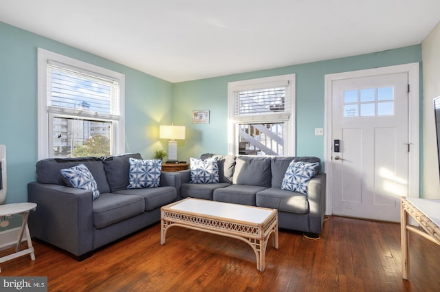 living room featuring dark hardwood / wood-style flooring