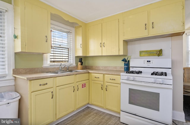 kitchen with sink, light hardwood / wood-style flooring, and white gas stove