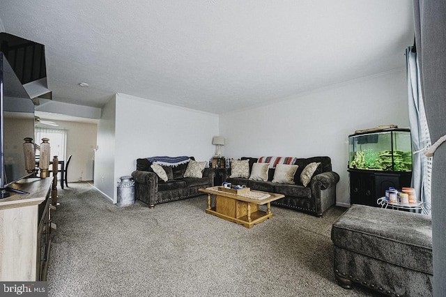 living room with carpet and a textured ceiling