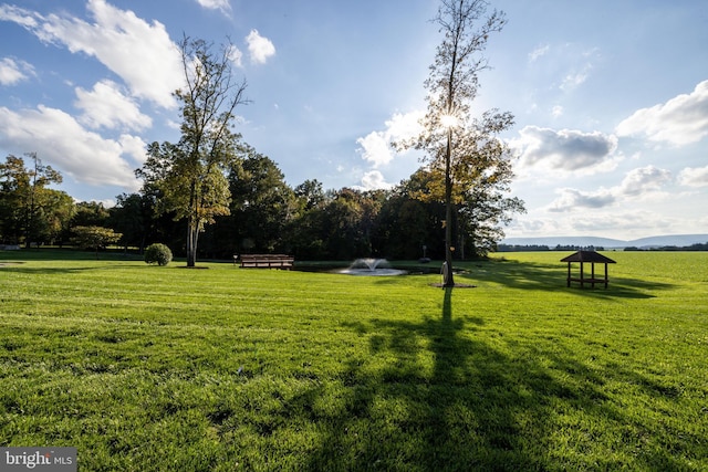 surrounding community featuring a lawn