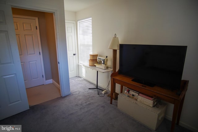 living room with carpet flooring