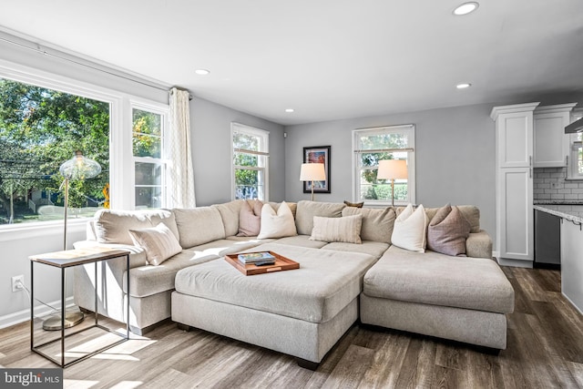 living room featuring hardwood / wood-style floors