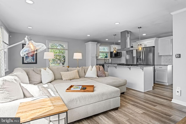 living room featuring sink and hardwood / wood-style floors