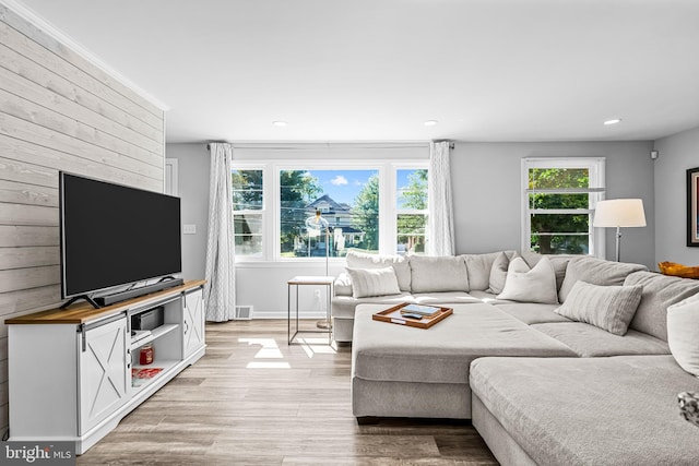 living room featuring light wood-type flooring