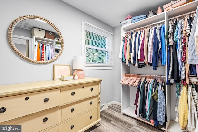 walk in closet featuring light hardwood / wood-style floors