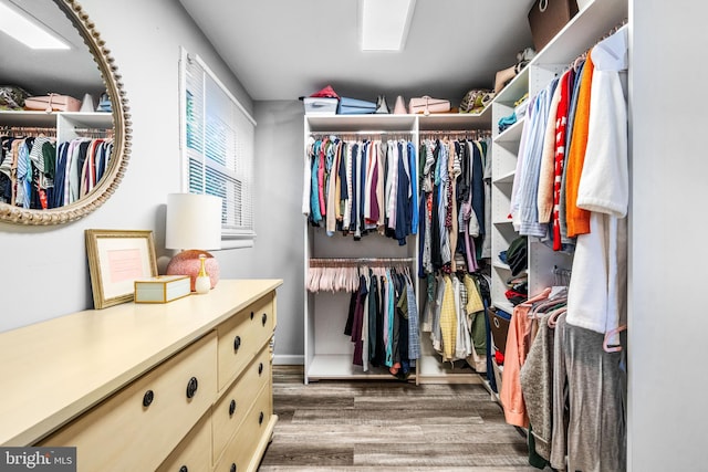 walk in closet featuring dark hardwood / wood-style flooring