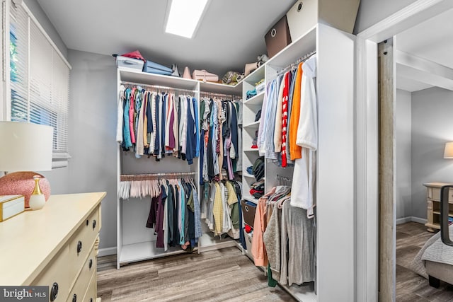 spacious closet featuring light hardwood / wood-style floors