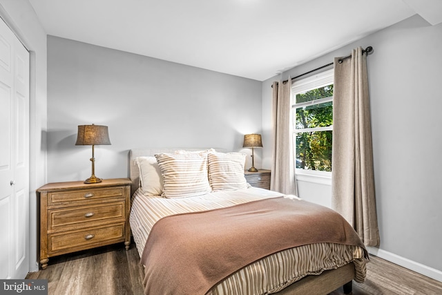 bedroom with dark wood-type flooring and a closet