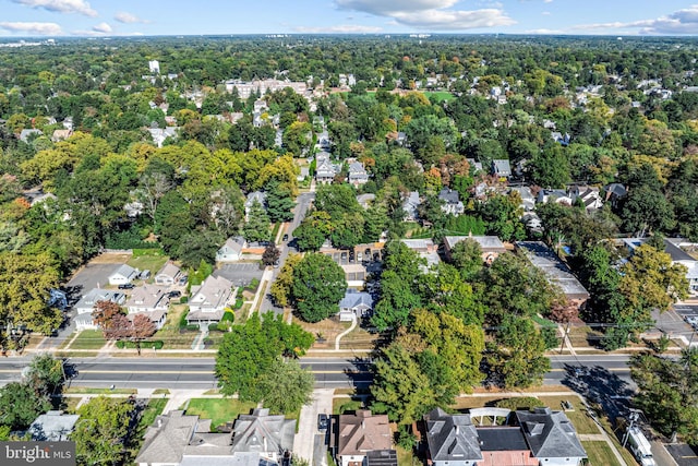 bird's eye view