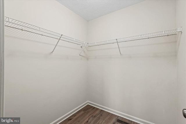 walk in closet with hardwood / wood-style floors