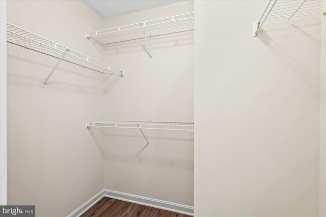 spacious closet featuring dark wood-type flooring