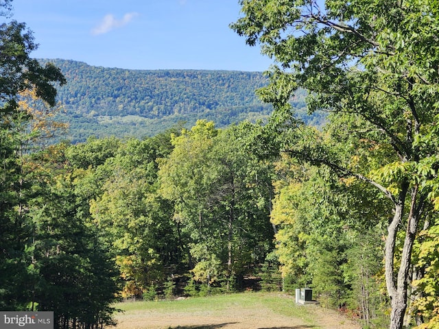 Grace Mountain Ln, Milam WV, 26838 land for sale