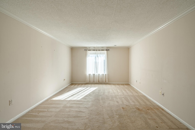 carpeted empty room featuring ornamental molding and a textured ceiling