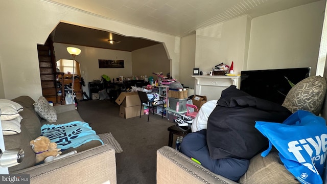 living room with carpet floors