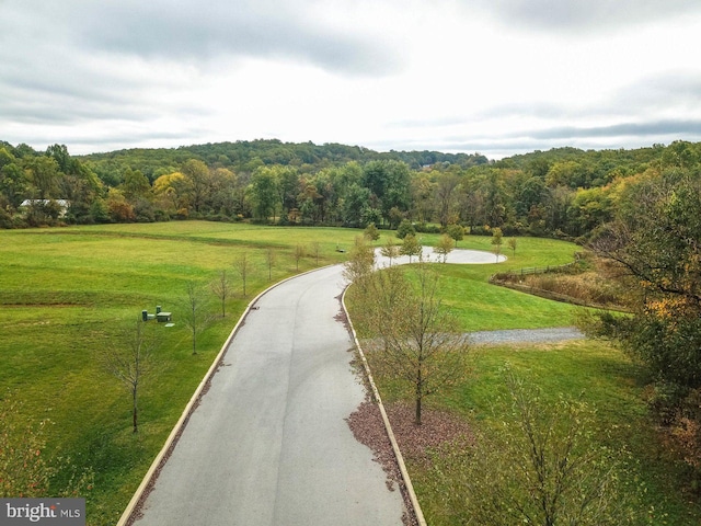 view of home's community with a lawn