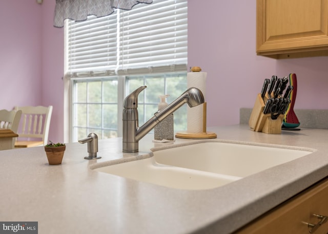 details featuring light brown cabinetry and sink