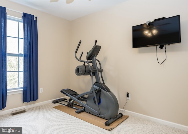 exercise area with carpet floors