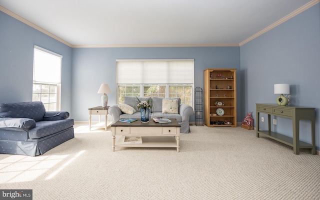 living room with ornamental molding and light carpet