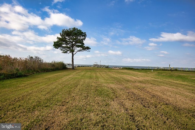 view of yard featuring a rural view