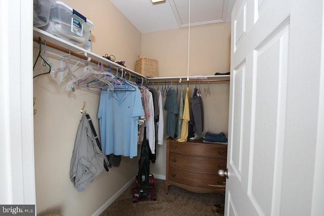 walk in closet featuring carpet floors