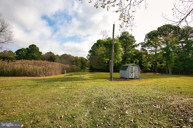 view of yard with a shed