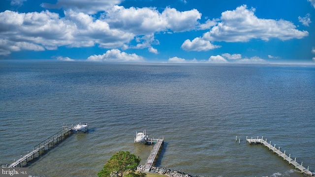 property view of water with a dock