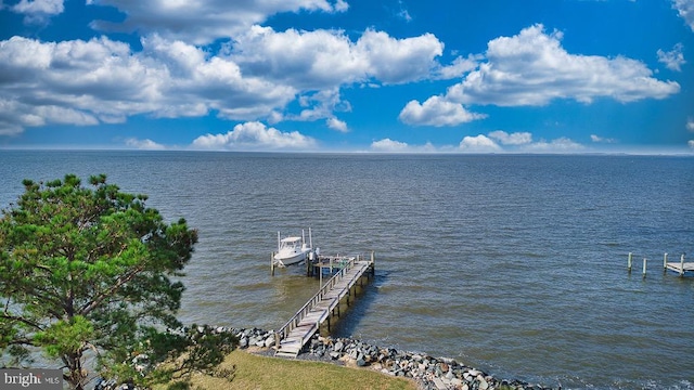 dock area with a water view