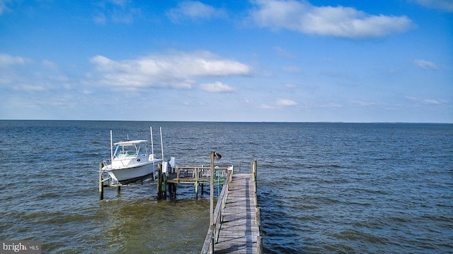 dock area with a water view