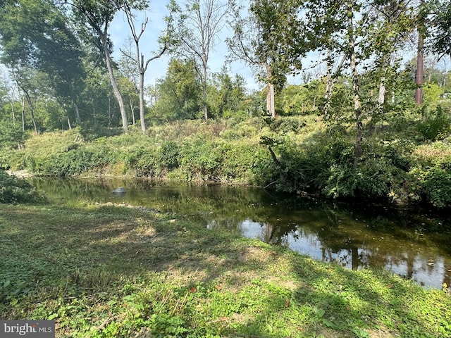 view of water feature