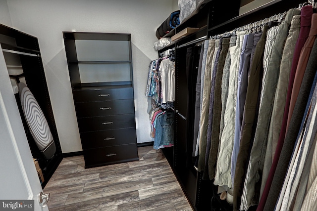 walk in closet with dark hardwood / wood-style floors