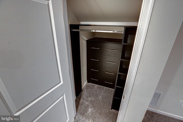 spacious closet featuring carpet floors