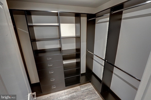 spacious closet featuring light wood-type flooring