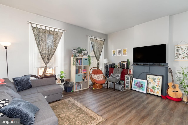 living room featuring hardwood / wood-style floors