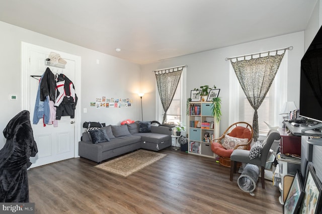 living room featuring a healthy amount of sunlight and dark wood-type flooring