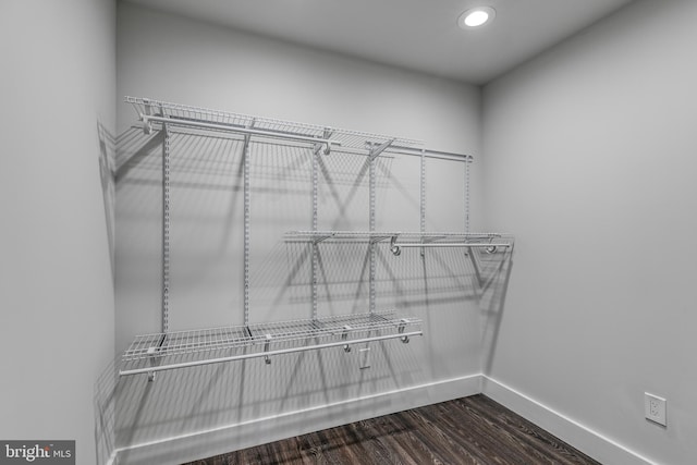 spacious closet featuring hardwood / wood-style flooring